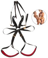 Aperçu: Bad Kitty Body Swing Deluxe