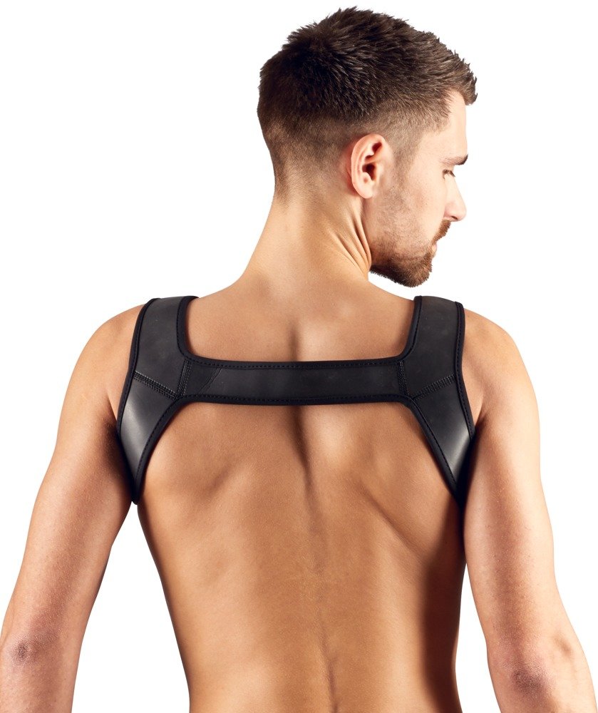 Harnais pour hommes