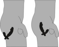 Aperçu: Prostata-Vibrator in Penisform