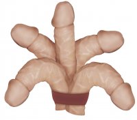 Aperçu: Naturdildo Nature Boy - Ø 4 x 18 cm